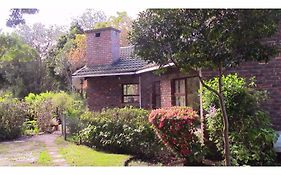 Forest Nest Cottage, Tsitsikamma